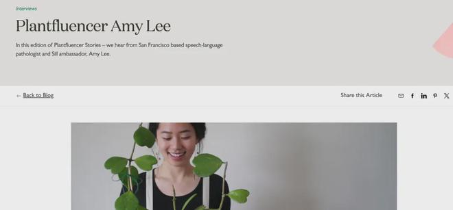 线上绿植品牌The Sill是怎么做到的？不朽情缘平台登录入口平均每天卖出500盆(图5)