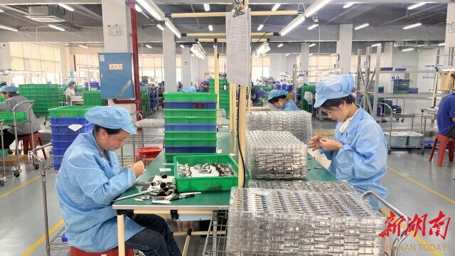 业用小小化妆刷“破圈” 湖南日报不朽情缘